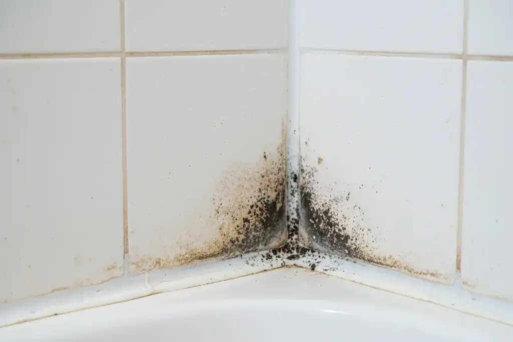 Missfärgade cementfogar och mögel i silikonfog i dusch