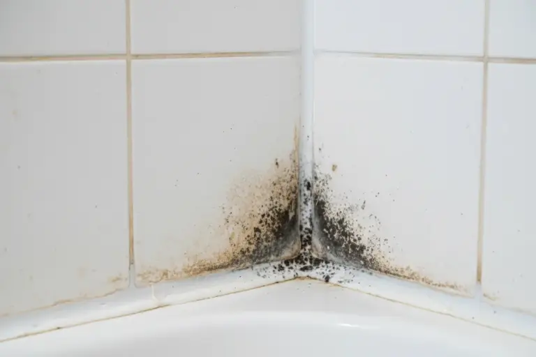 Missfärgade cementfogar och mögel i silikonfog i dusch